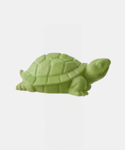 plaster-of-paris-sea-turtle-craft-kit-12